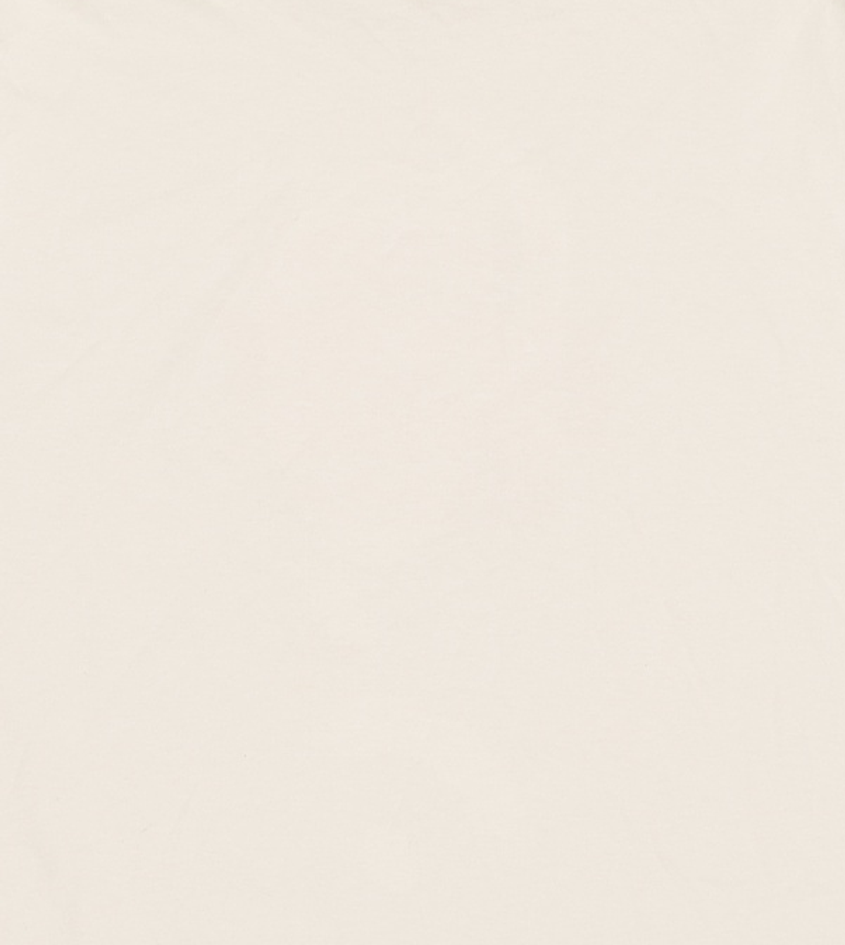 코닥(KODAK) 빅로고 반팔티셔츠 IVORY 105