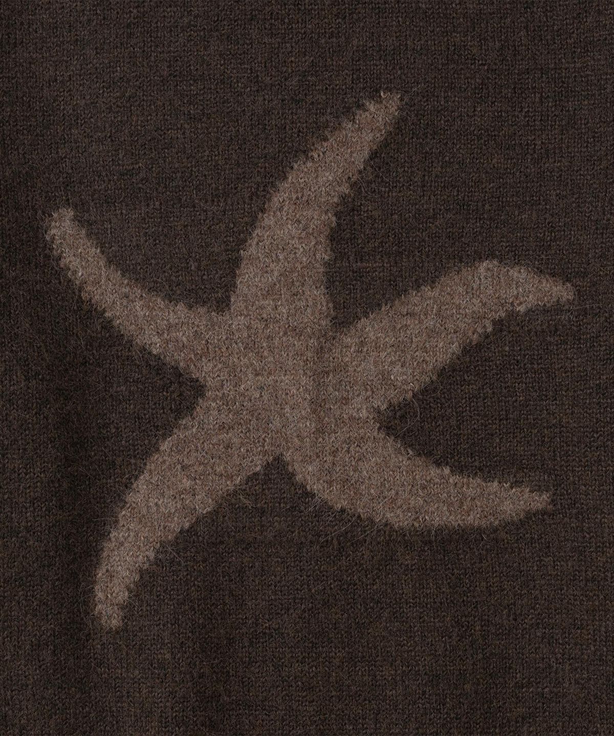 더콜디스트모먼트(THECOLDESTMOMENT) TCM starfish logo contrast knit (brown)