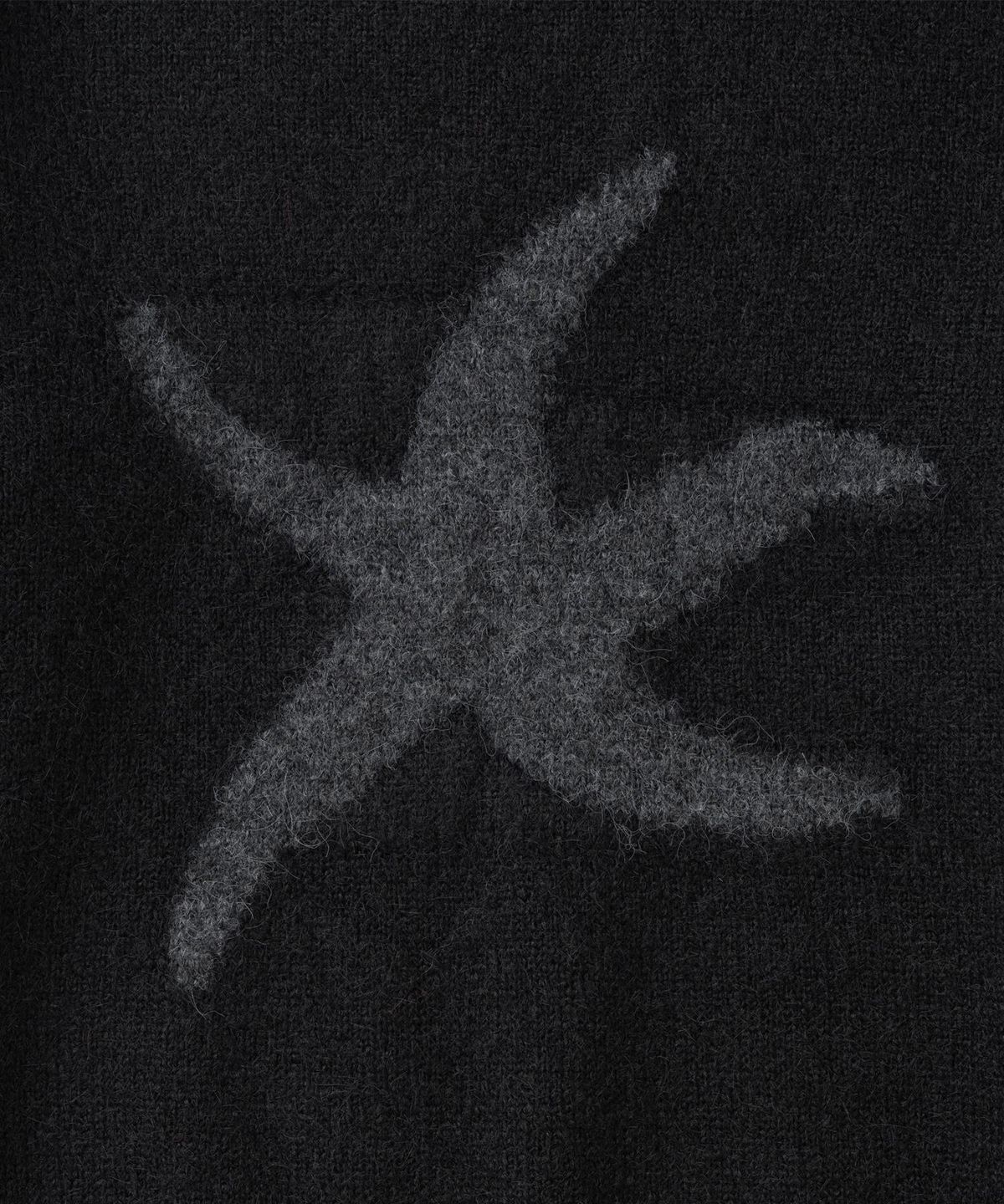 더콜디스트모먼트(THECOLDESTMOMENT) TCM starfish logo contrast knit (black)