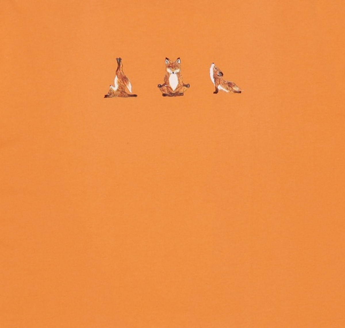 메종 키츠네(MAISON KITSUNE) 메종키츠네 요가 폭스 프린트 티셔츠 오렌지 / EU00146KJ0008-OR L