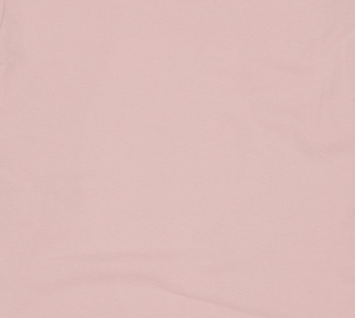 디스이즈네버댓(THISISNEVERTHAT) The Downtown Run L/S Tee Pink M