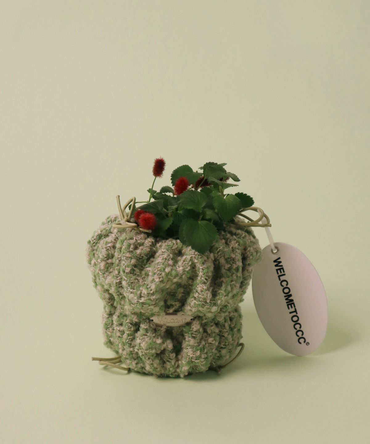 웰컴투씨씨씨(WELCOME TO CCC) Pou Poki Kit (Pistachio) 3Size 화분 수납박스