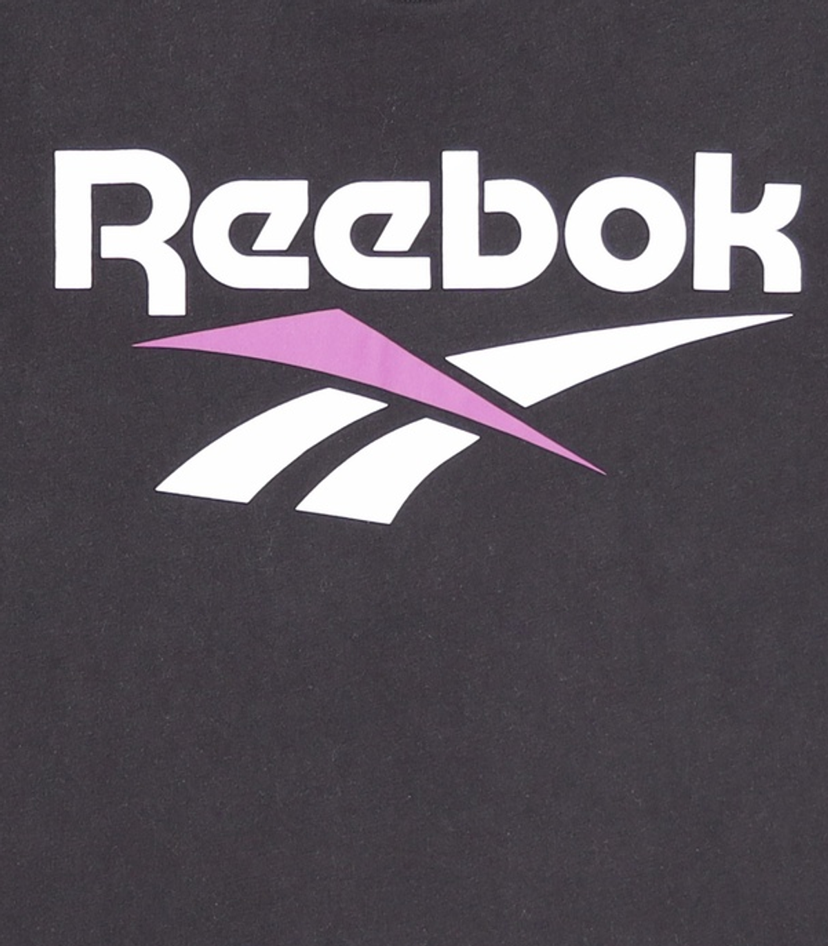 리복(REEBOK) 클래식 벡터 티 - 블랙 / DX3819 XXL