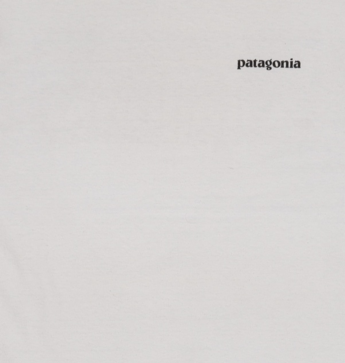 파타고니아(PATAGONIA) P-6 로고 리스판서빌리 반팔티 38504-WHI M
