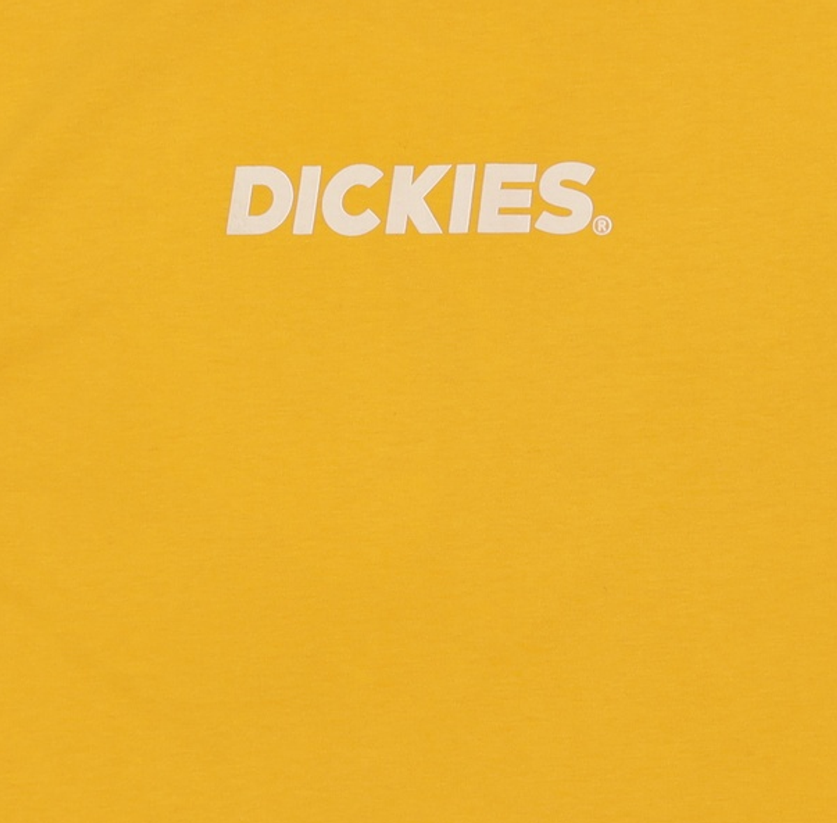 디키즈(DICKIES) 반소매 티셔츠 XL