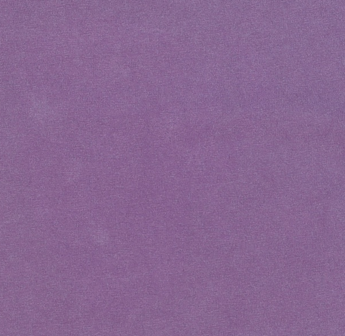 팀코믹스(TIMCOMIX) [CROP] TIM ANIMAL TREE SS PG DARK PURPLE OWS