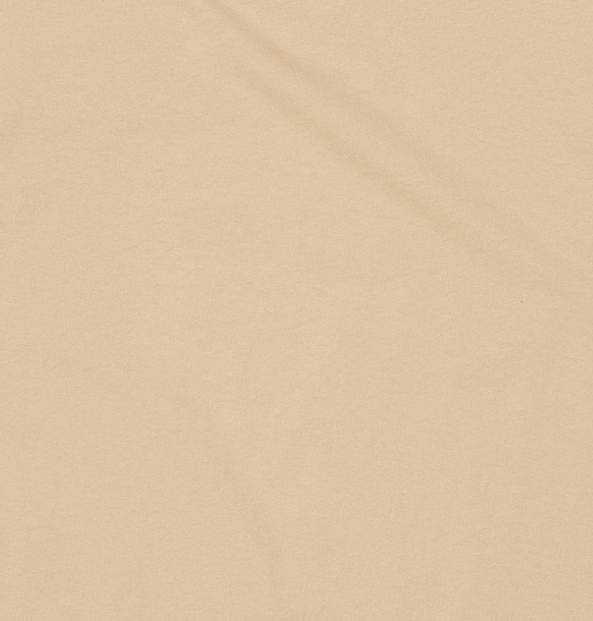 푸마 x 메종키츠네(PUMA x MAISON KITSUNE) 반소매 티셔츠 L