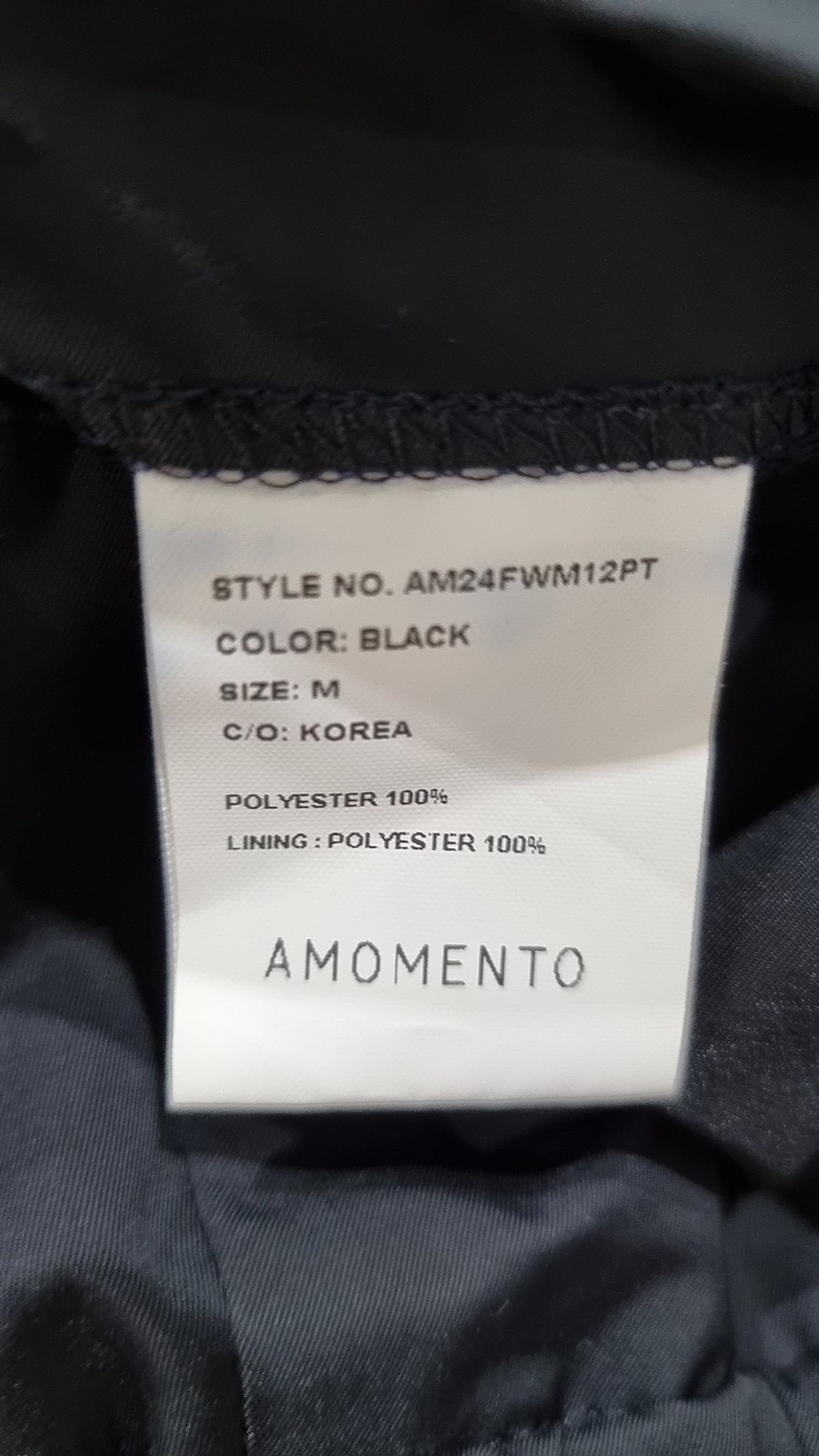 아모멘토(AMOMENTO) MENS TWO TUCK WIDE PANTS (3COLORS) M