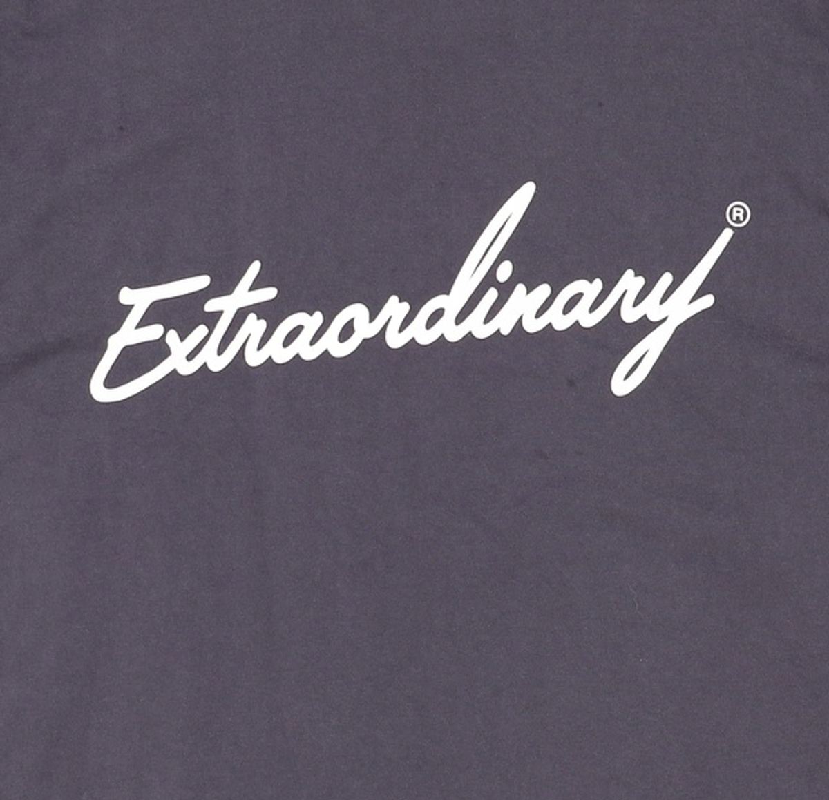 엑스트라오디너리(EXTRAORDINARY) 긴소매 티셔츠 XXL