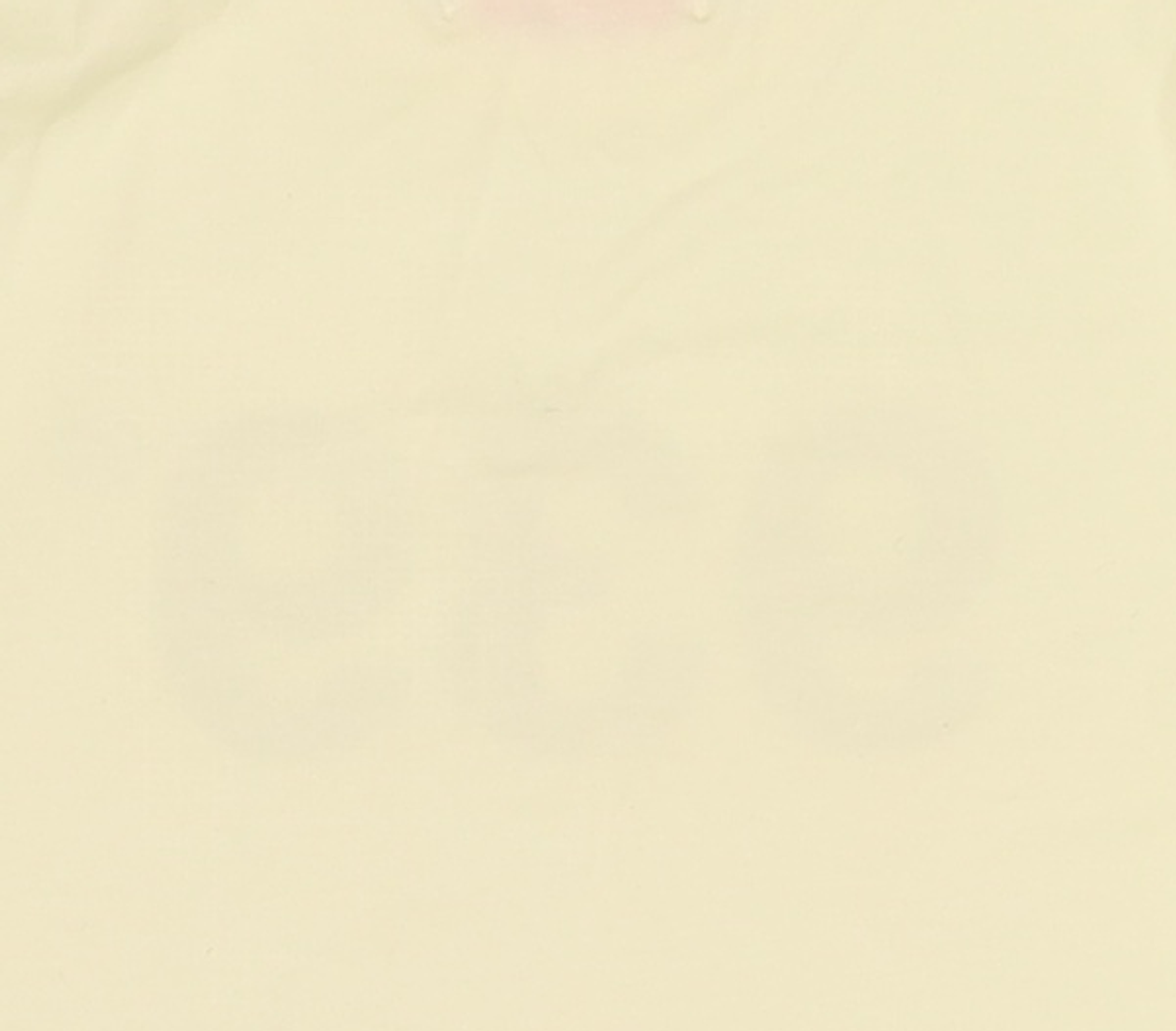 아카이브 볼드(ARCHIVE BOLD) 반소매 티셔츠 S