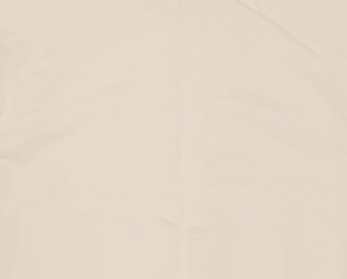 꼬모니노즈(COMONINOZ) BUTTON HALF NECK SWEATSHIRTS [3 COLOR] S