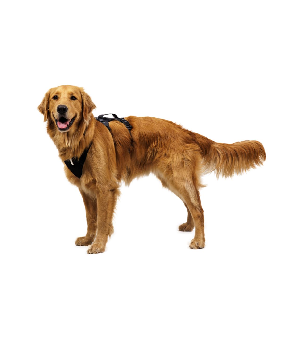 러프웨어(RUFFWEAR) 릿지라인 하네스 (Ridgeline™ Harness )