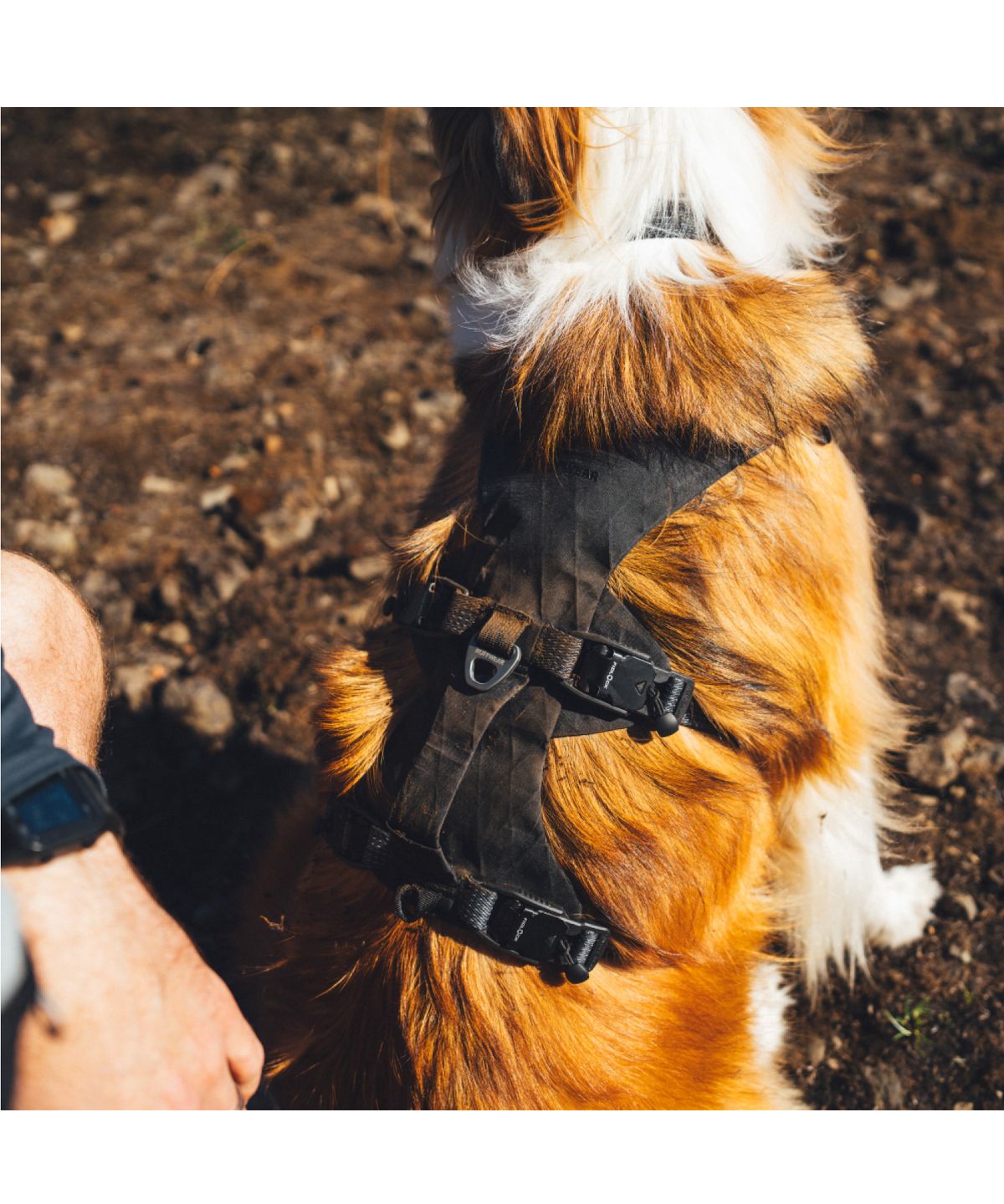 러프웨어(RUFFWEAR) 릿지라인 하네스 (Ridgeline™ Harness )