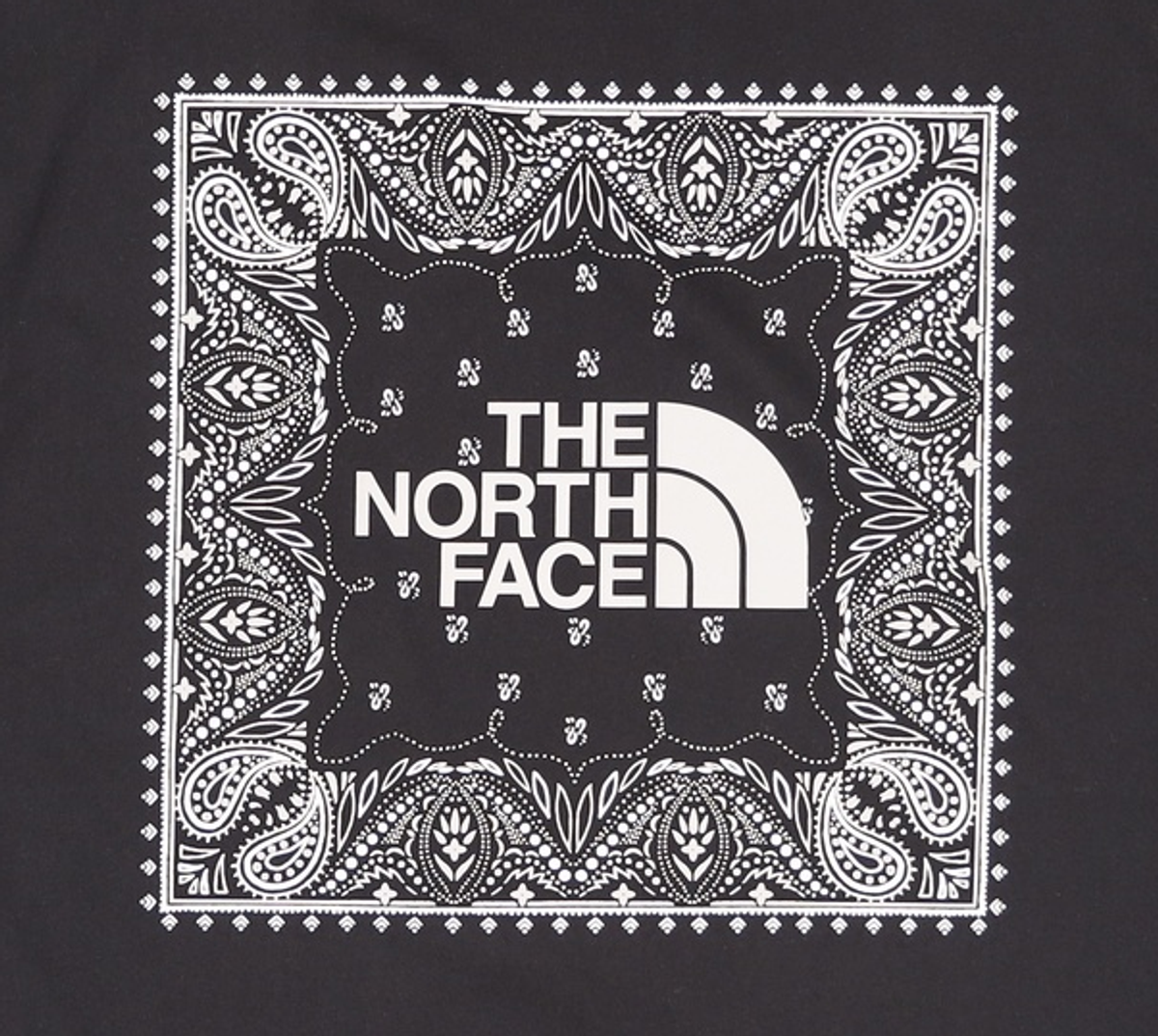 노스페이스(THE NORTH FACE) NT7UR13A 남성 반다나 반팔 티셔츠_BLACK XXXL
