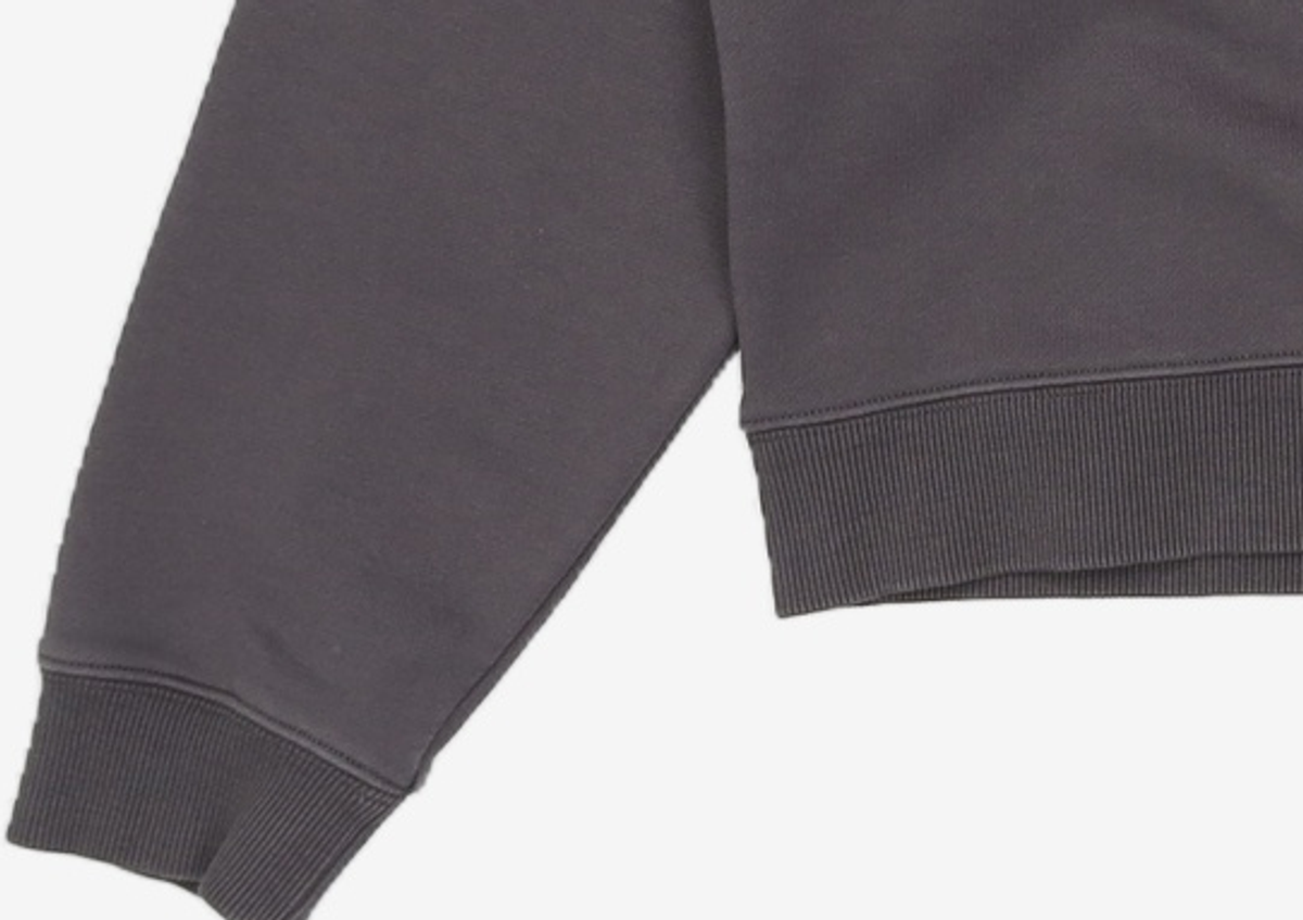 마리떼 프랑소와 저버(MARITHÉ + FRANҪOIS GIRBAUD) W MELLOW LOGO RAGLAN CROP SWEATSHIRT charcoal M