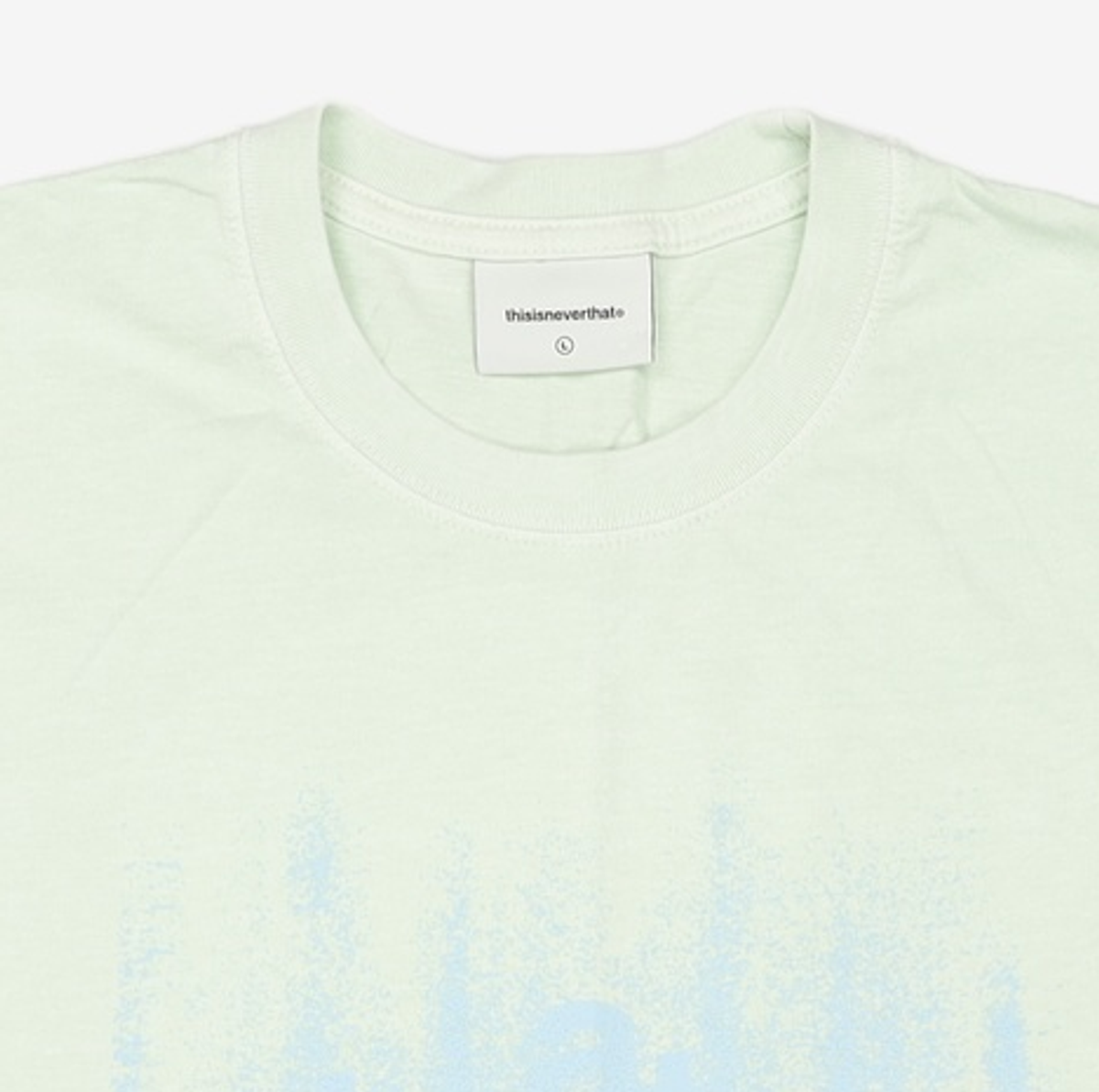 디스이즈네버댓(THISISNEVERTHAT) Brushed Paint Tee - Pale Green L