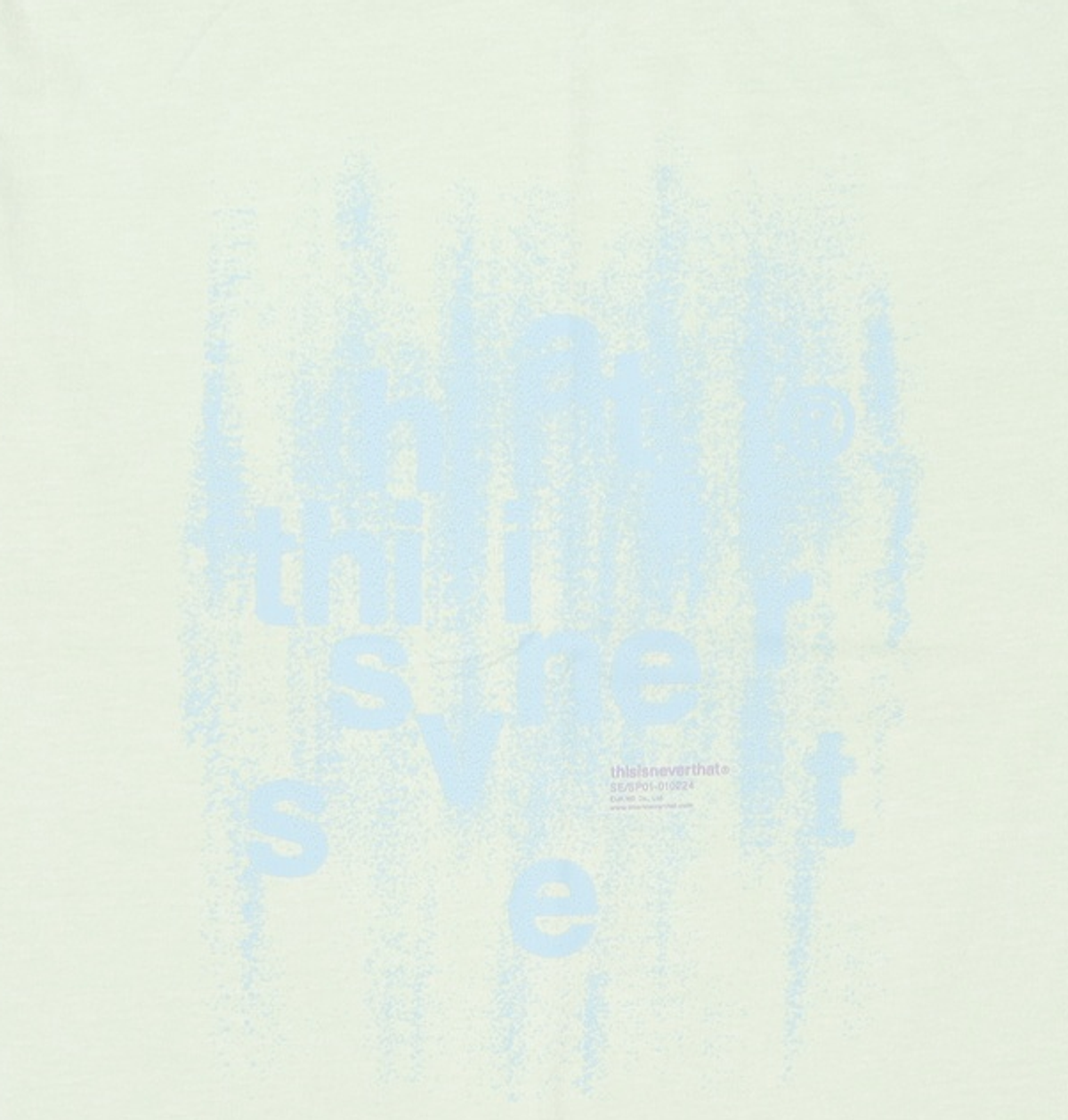 디스이즈네버댓(THISISNEVERTHAT) Brushed Paint Tee - Pale Green L