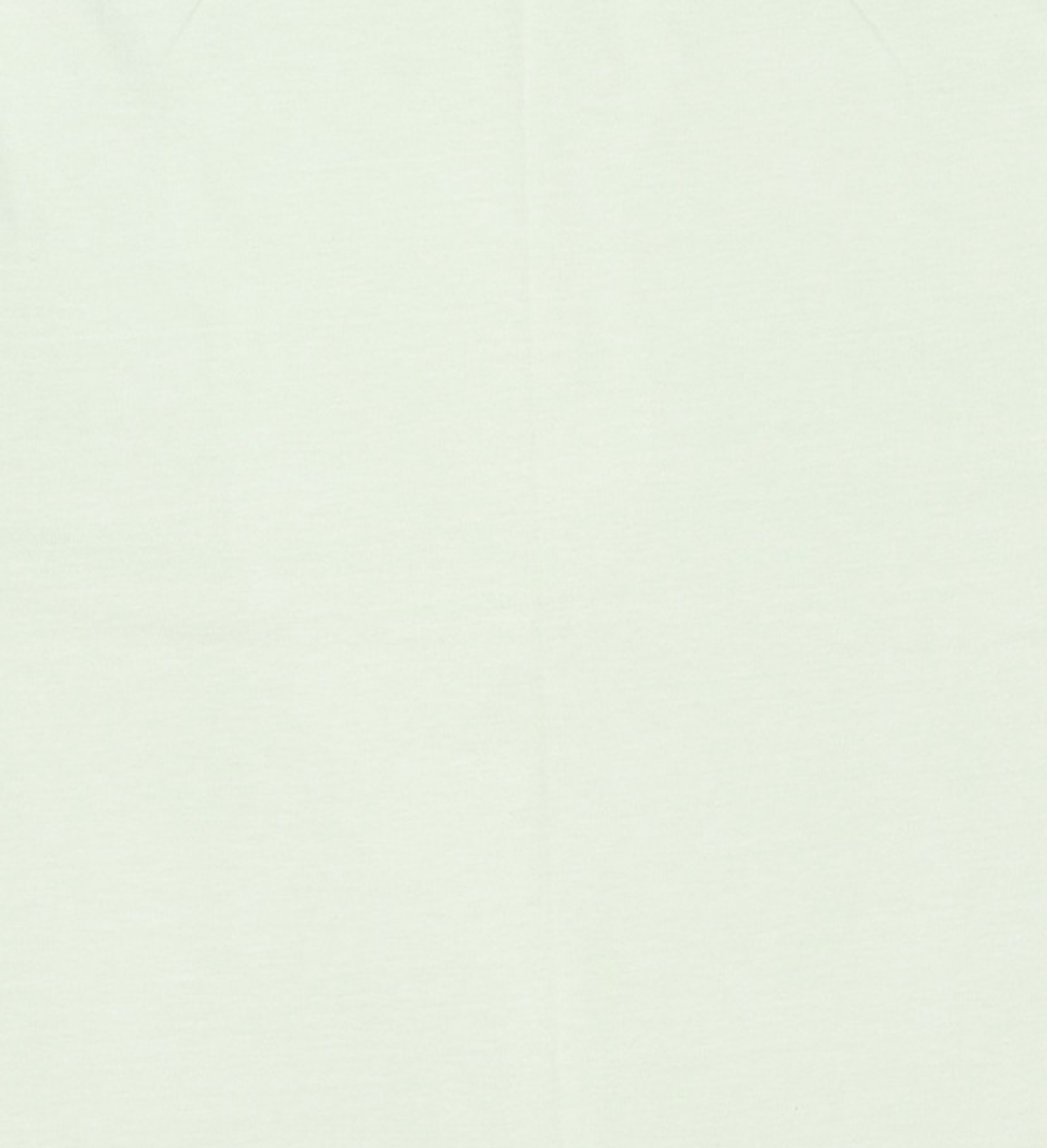 디스이즈네버댓(THISISNEVERTHAT) Brushed Paint Tee - Pale Green L