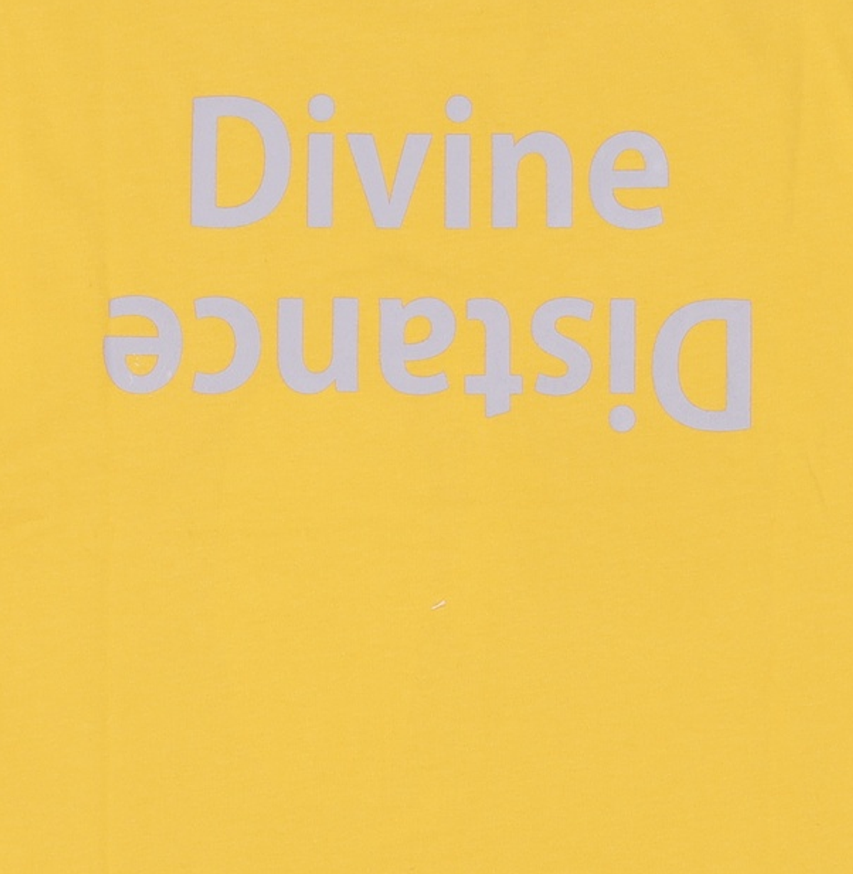 디바인디스턴스(DIVINE DISTANCE) 반소매 티셔츠 M
