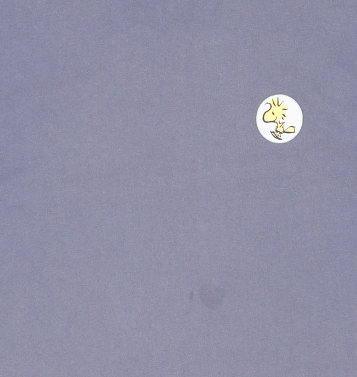 폴햄 X 피너츠(PLHM X PEANUTS) 반소매 티셔츠 160