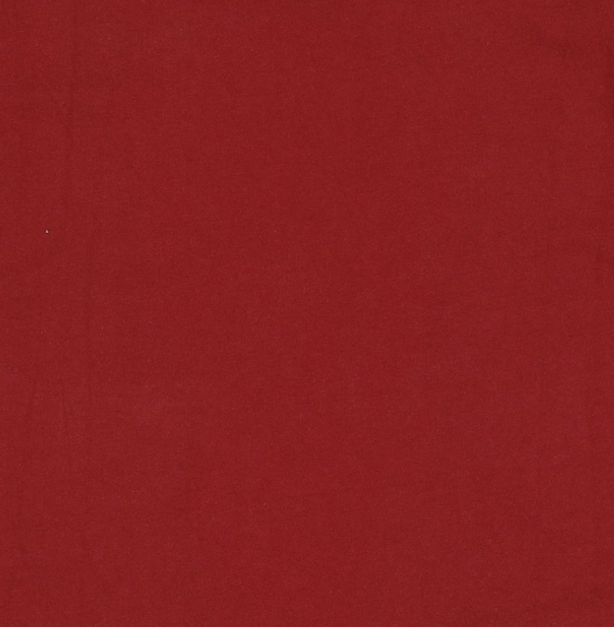 스테디 에브리웨어(STEADY EVERY WEAR) 반소매 티셔츠 4