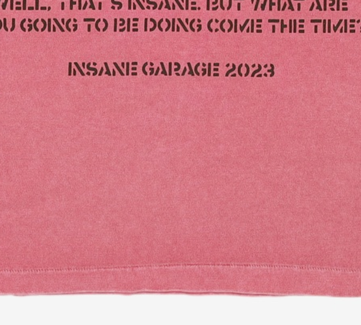인세인개러지(INSANEGARAGE) 반소매 티셔츠 2