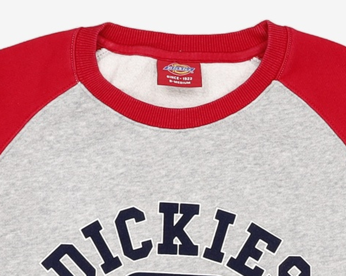 디키즈(DICKIES) 맨투맨/스웨트셔츠 SM