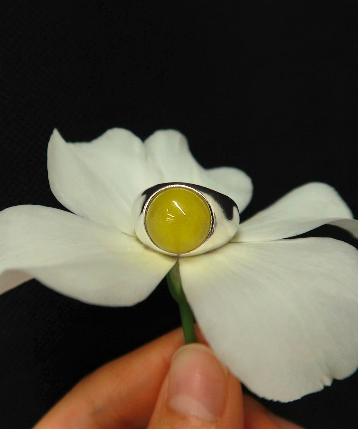 손희(SONHEE) Ginkgo