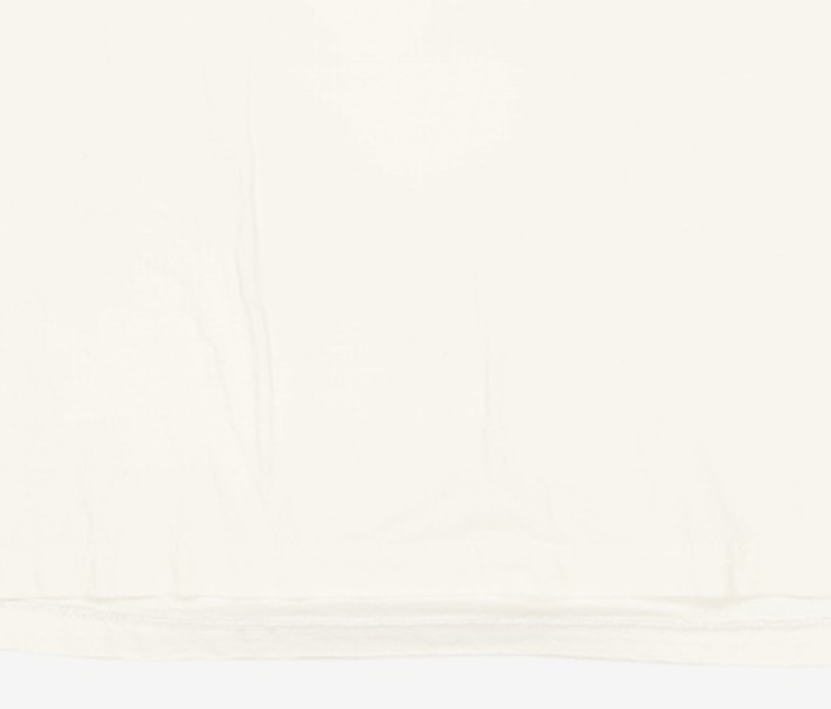 트루릴리젼(TRUERELIGION) TRUE RELIGION X ONEITA ONEITA LOGO T-SHIRT OFF WHITE FREE