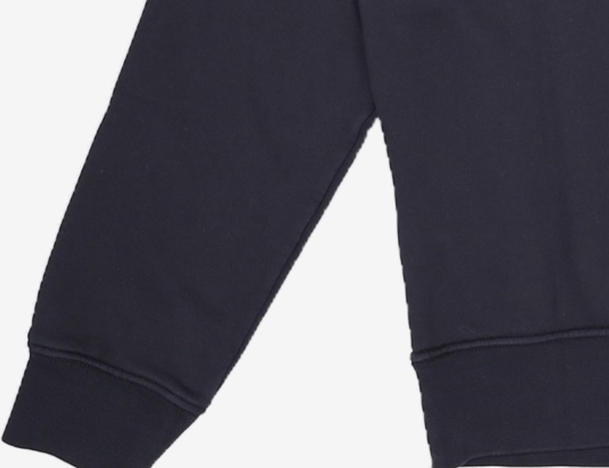 스톤아일랜드(STONE ISLAND) 맨투맨/스웨트셔츠 L