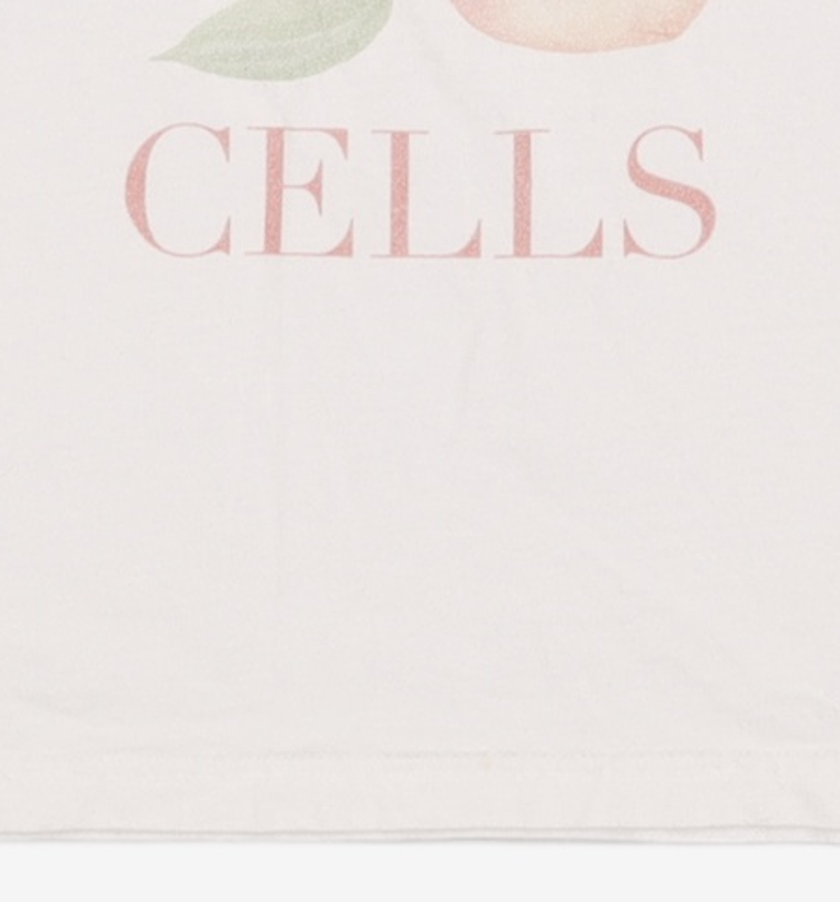 비터셀즈(BITTERCELLS) 반소매 티셔츠 S