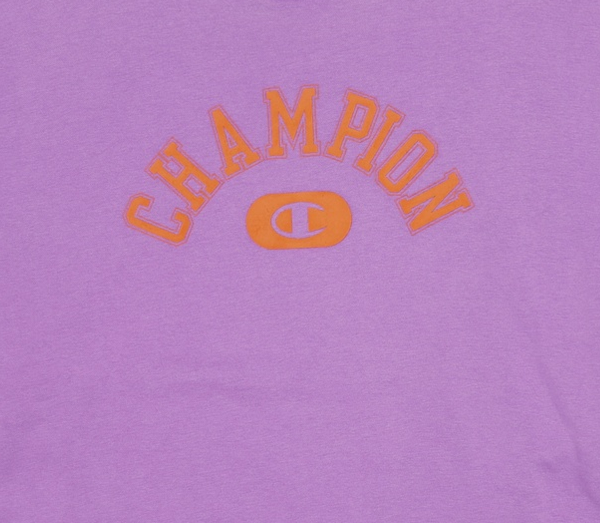 챔피온(CHAMPION) 맨투맨/스웨트셔츠 L