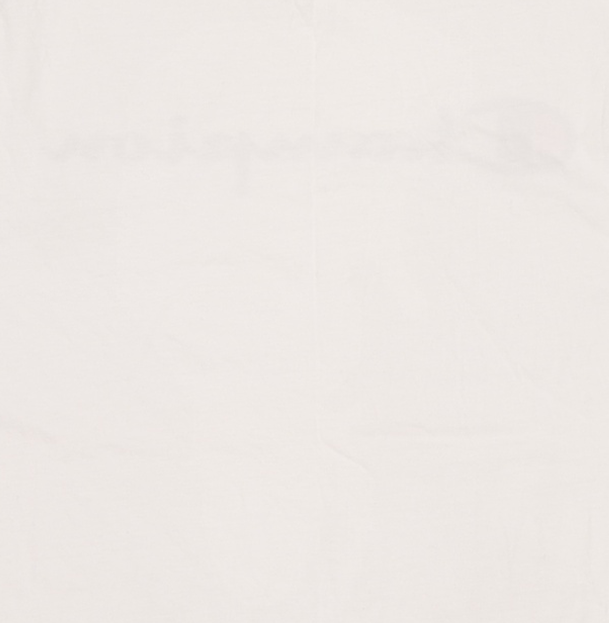 챔피온(CHAMPION) 빅 스크립트 로고 코튼 반팔 티셔츠 White XL