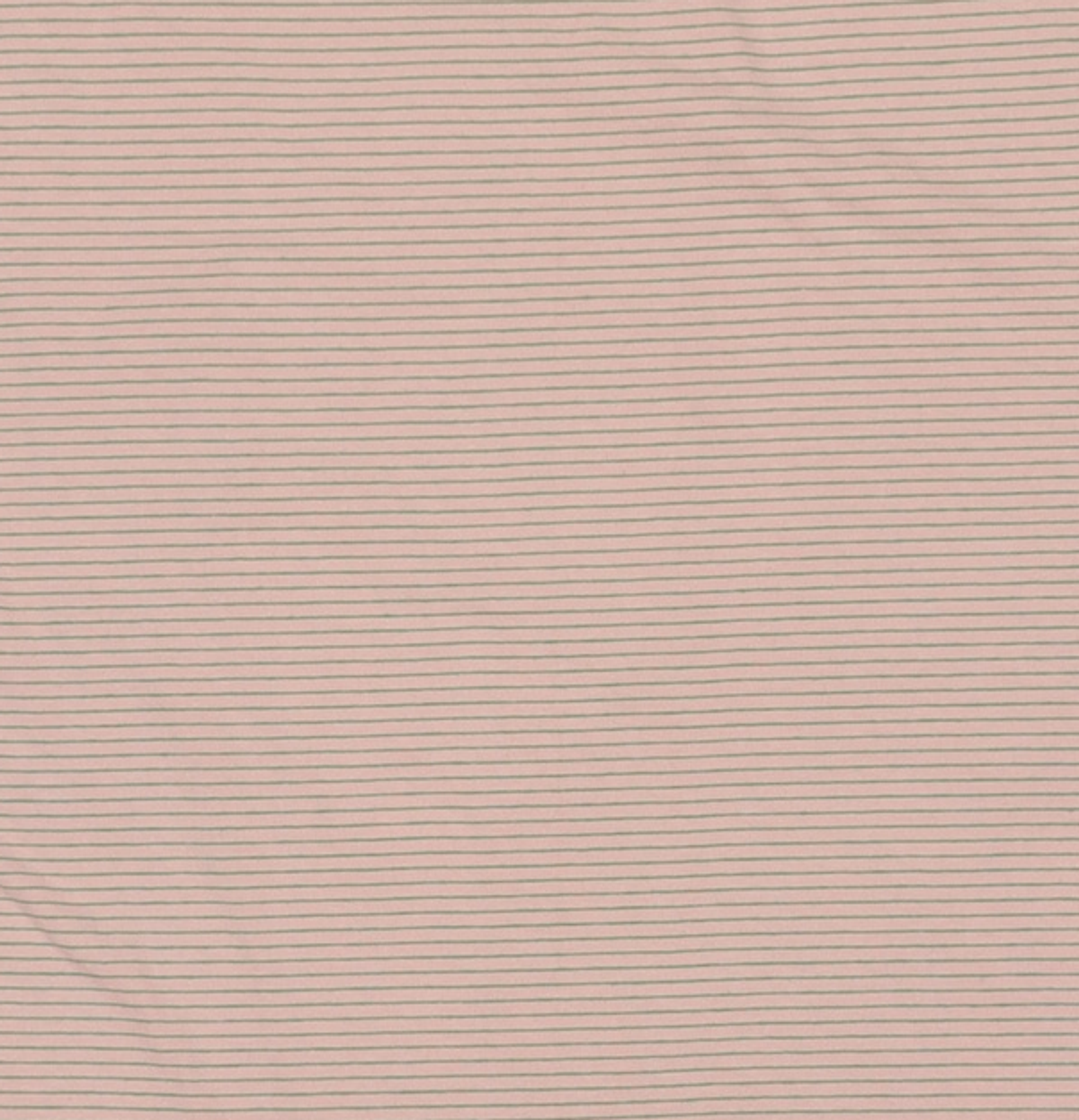 캉골(KANGOL) 반소매 티셔츠 M