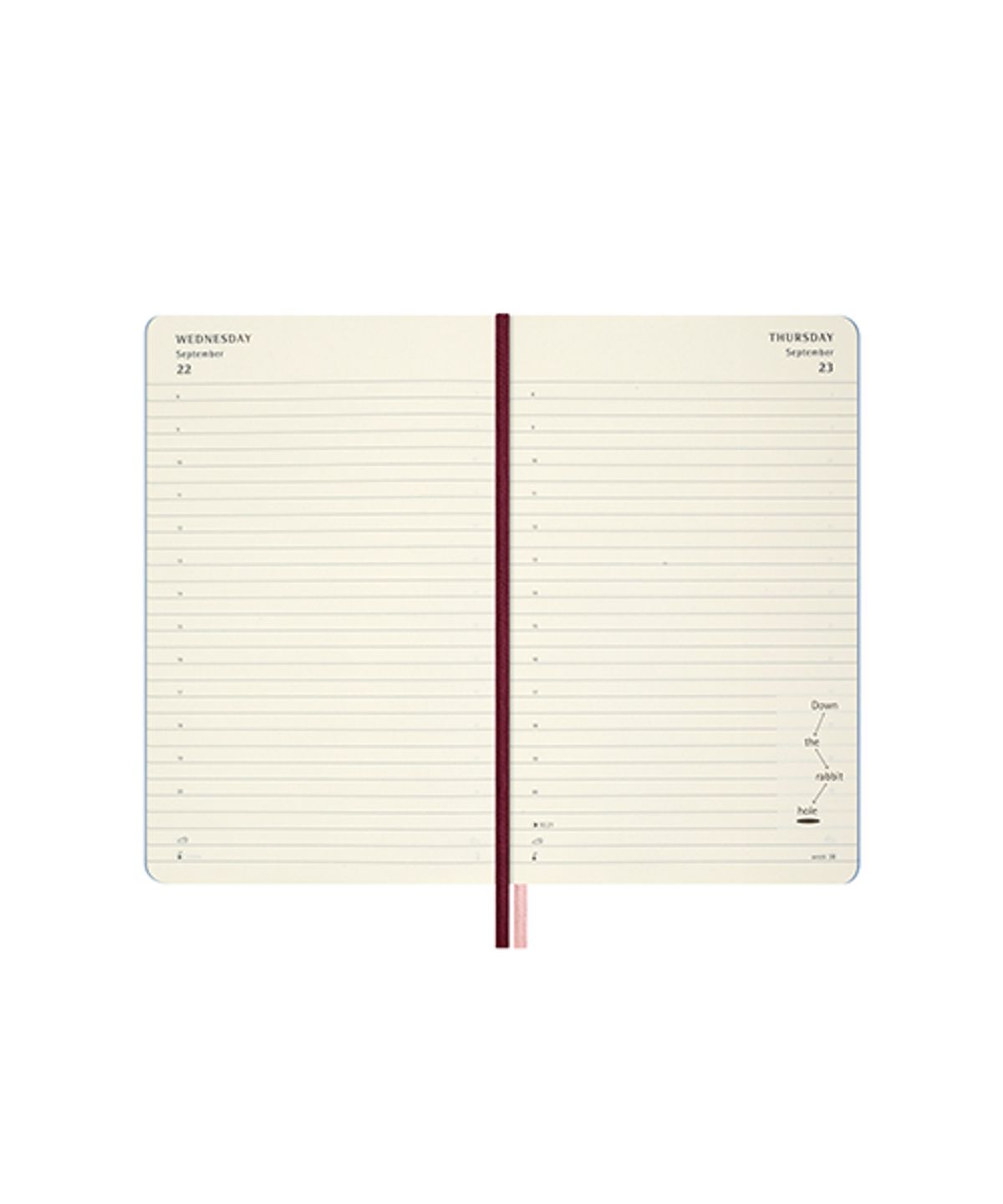 몰스킨(MOLESKINE) [26앨리스]데일리/블루 하드 L
