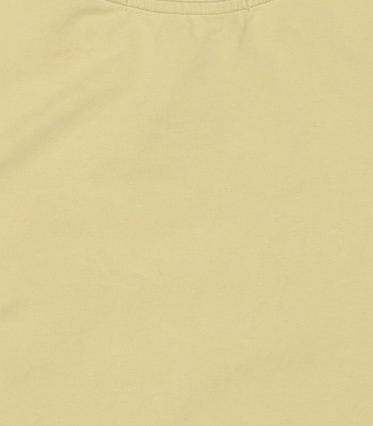 웰빙익스프레스(WELLBEING EXPRESS) Wellbeing Is Better Half Sleeve Lime S