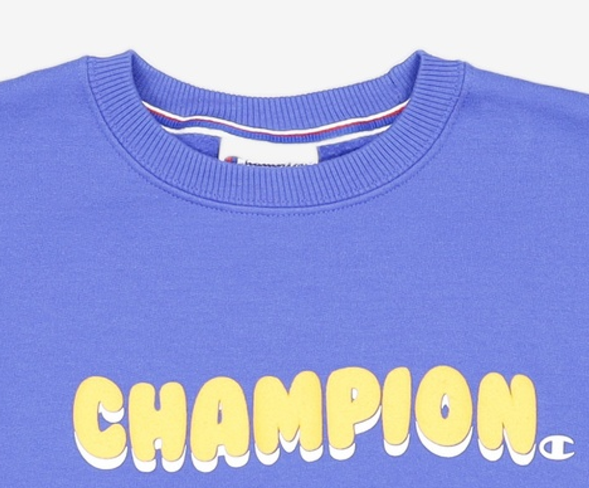 챔피온(CHAMPION) 맨투맨/스웨트셔츠 S