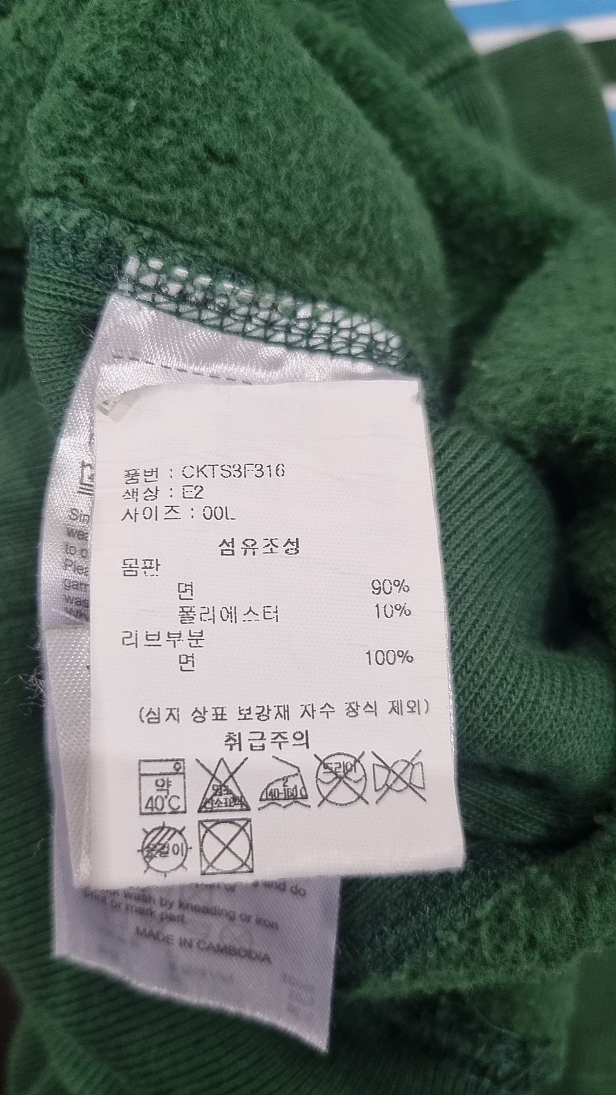 챔피온(CHAMPION) 리버스위브 블루택 기모 그래픽 스웨트셔츠 Normal Green L