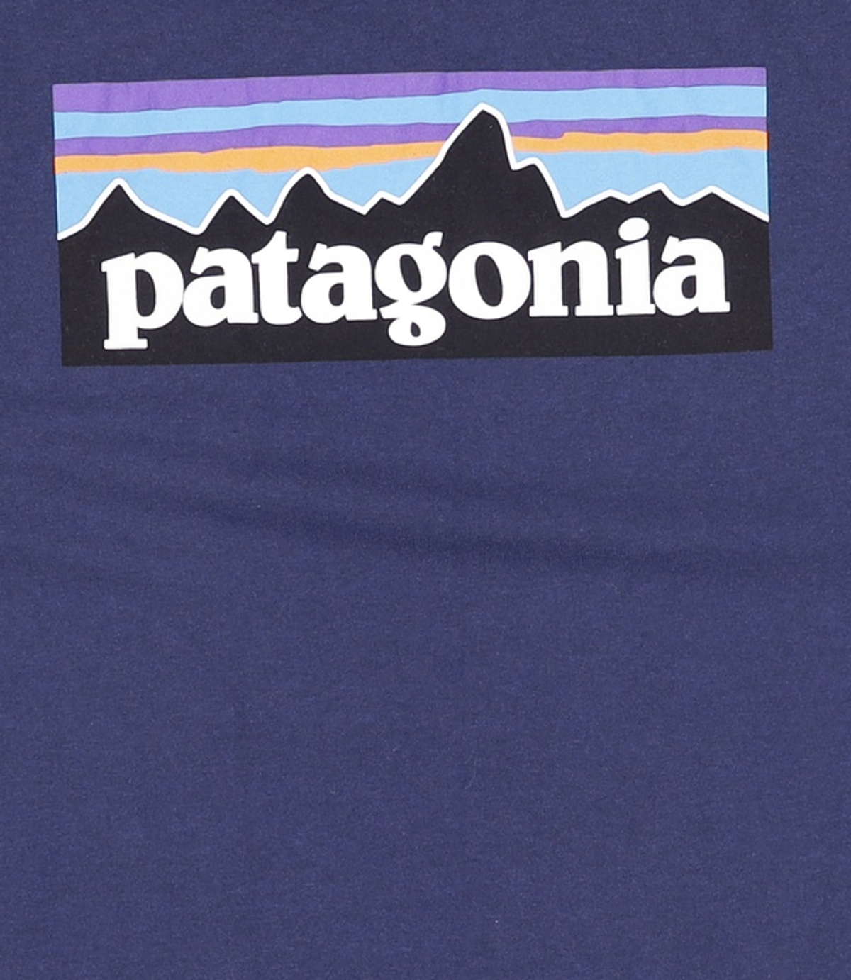 파타고니아(PATAGONIA) 반소매 티셔츠 L
