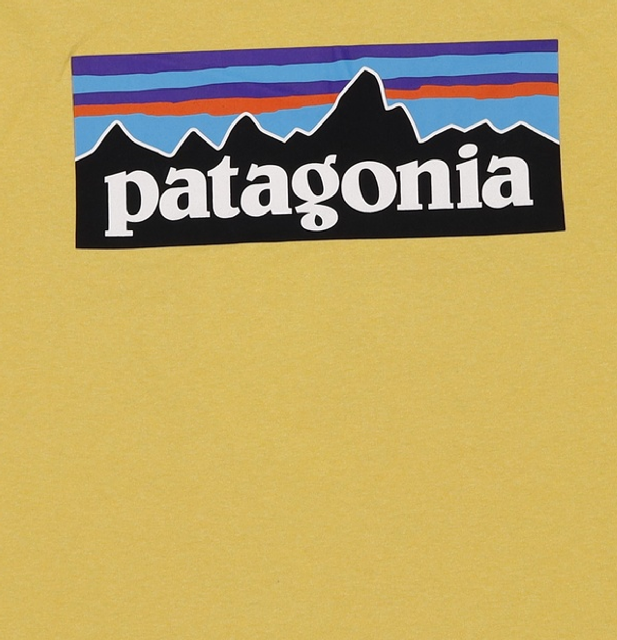 파타고니아(PATAGONIA) 반소매 티셔츠 M