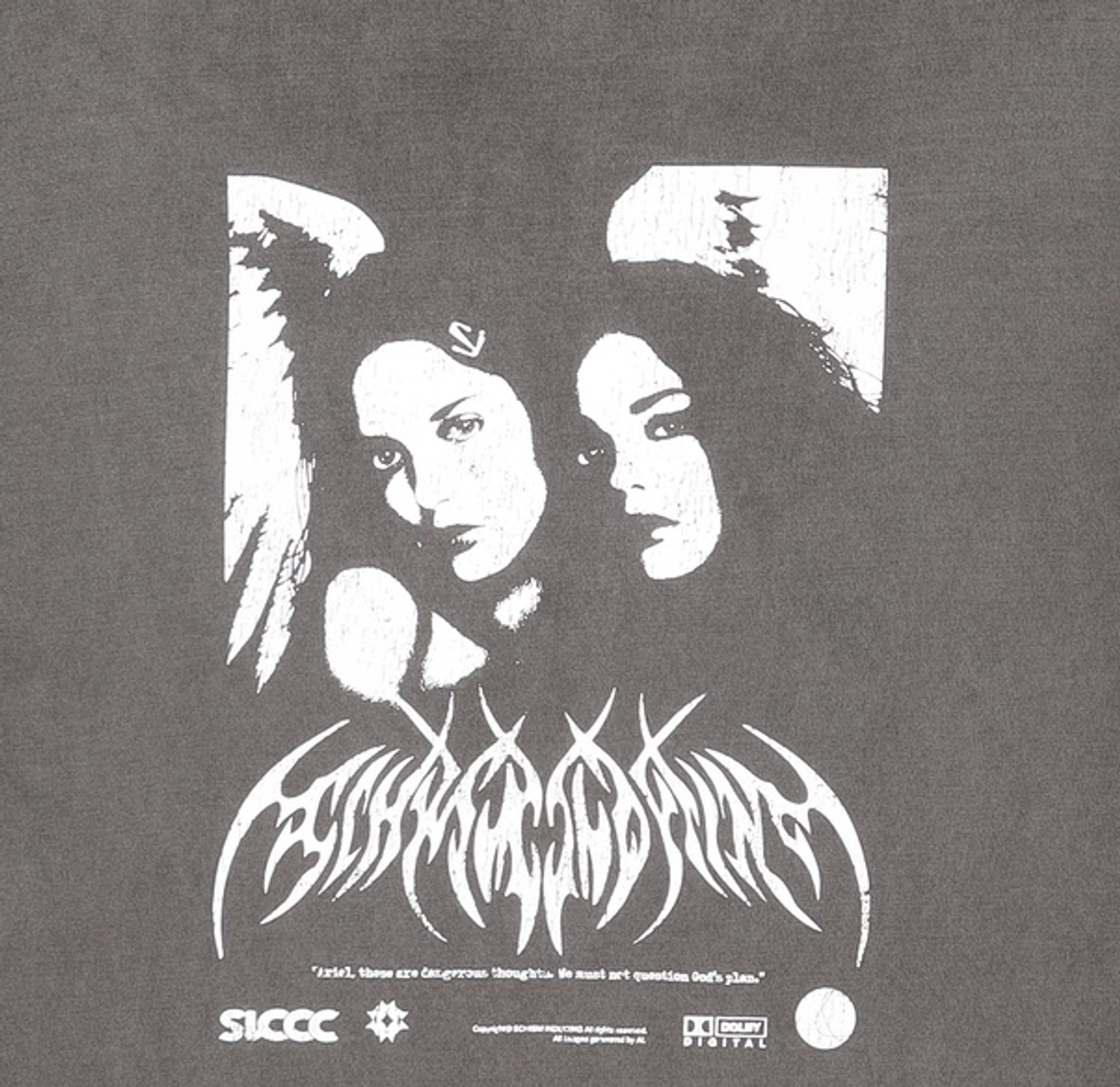 스키즘 인듀싱(SCHISM INDUCING) 반소매 티셔츠 L