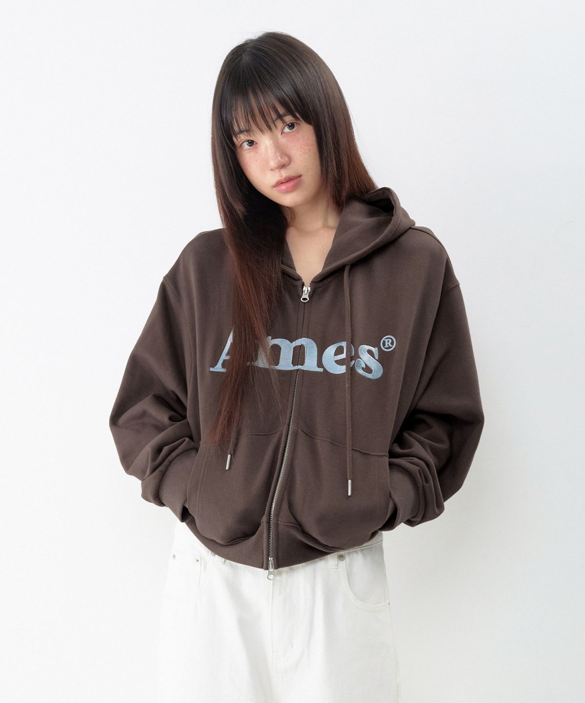 아메스 월드와이드(AMES-WORLDWIDE) BASIC LOGO HOODIE ZIP UP BROWN