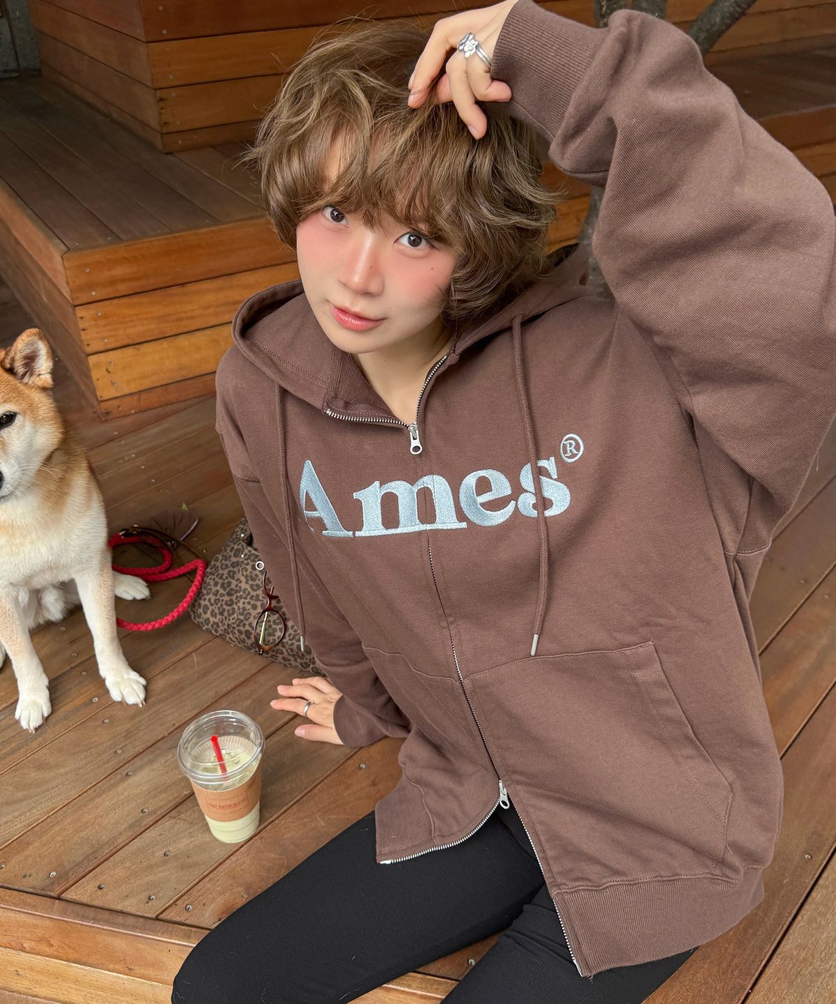 아메스 월드와이드(AMES-WORLDWIDE) BASIC LOGO HOODIE ZIP UP BROWN