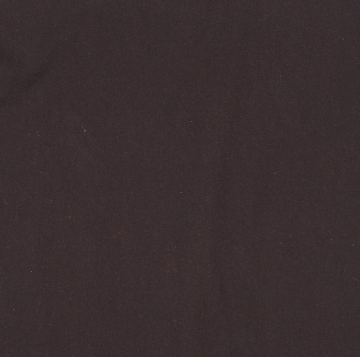 아메리칸 어패럴(AMERICAN APPAREL) 반소매 티셔츠 XXL