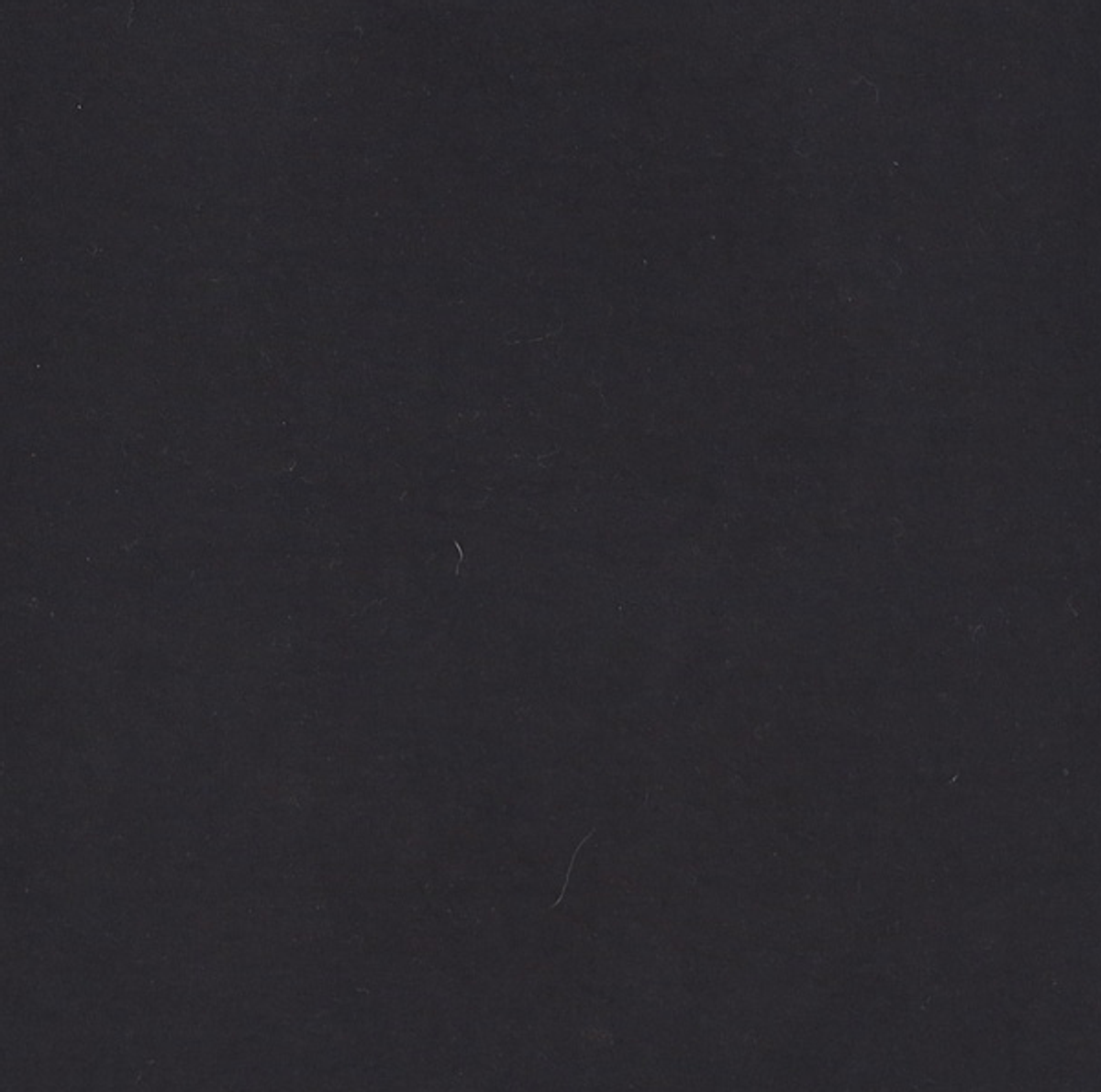 베이프(BAPE) 빅 베이비 마일로 티셔츠(M) BLACK L