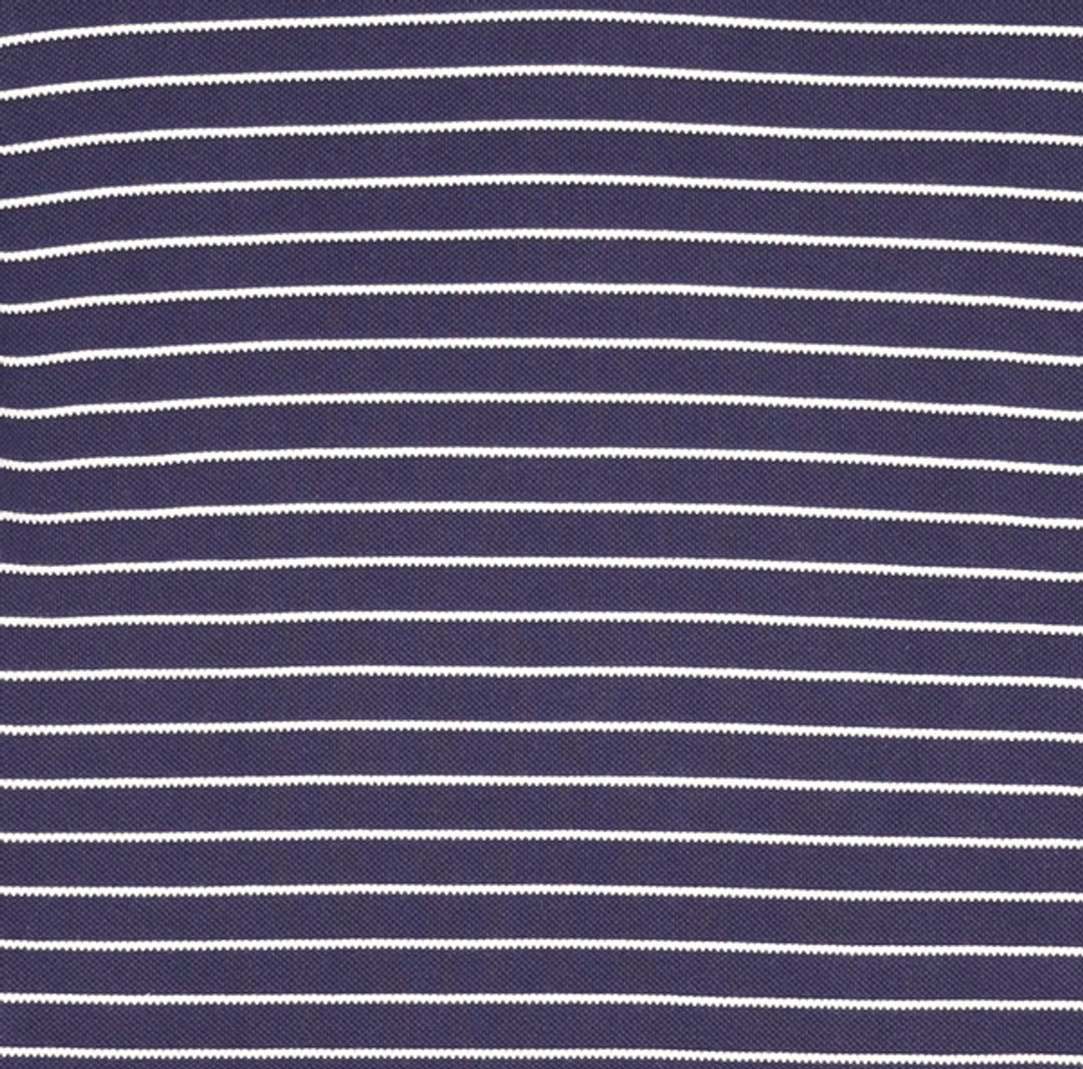 꼬모니노즈(COMONINOZ) STRIPE COLLAR T-SHIRT [NAVY] S
