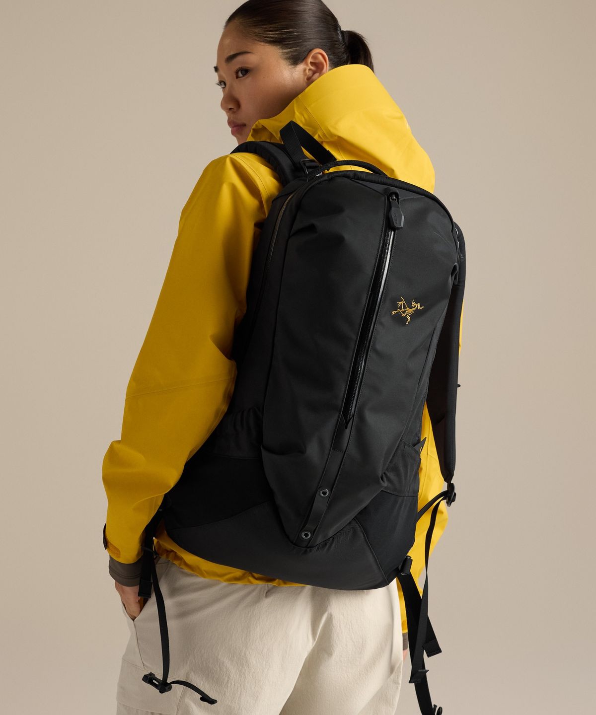 아크테릭스(ARCTERYX) 아로 22 백팩 - BLACK / ABQFU10706