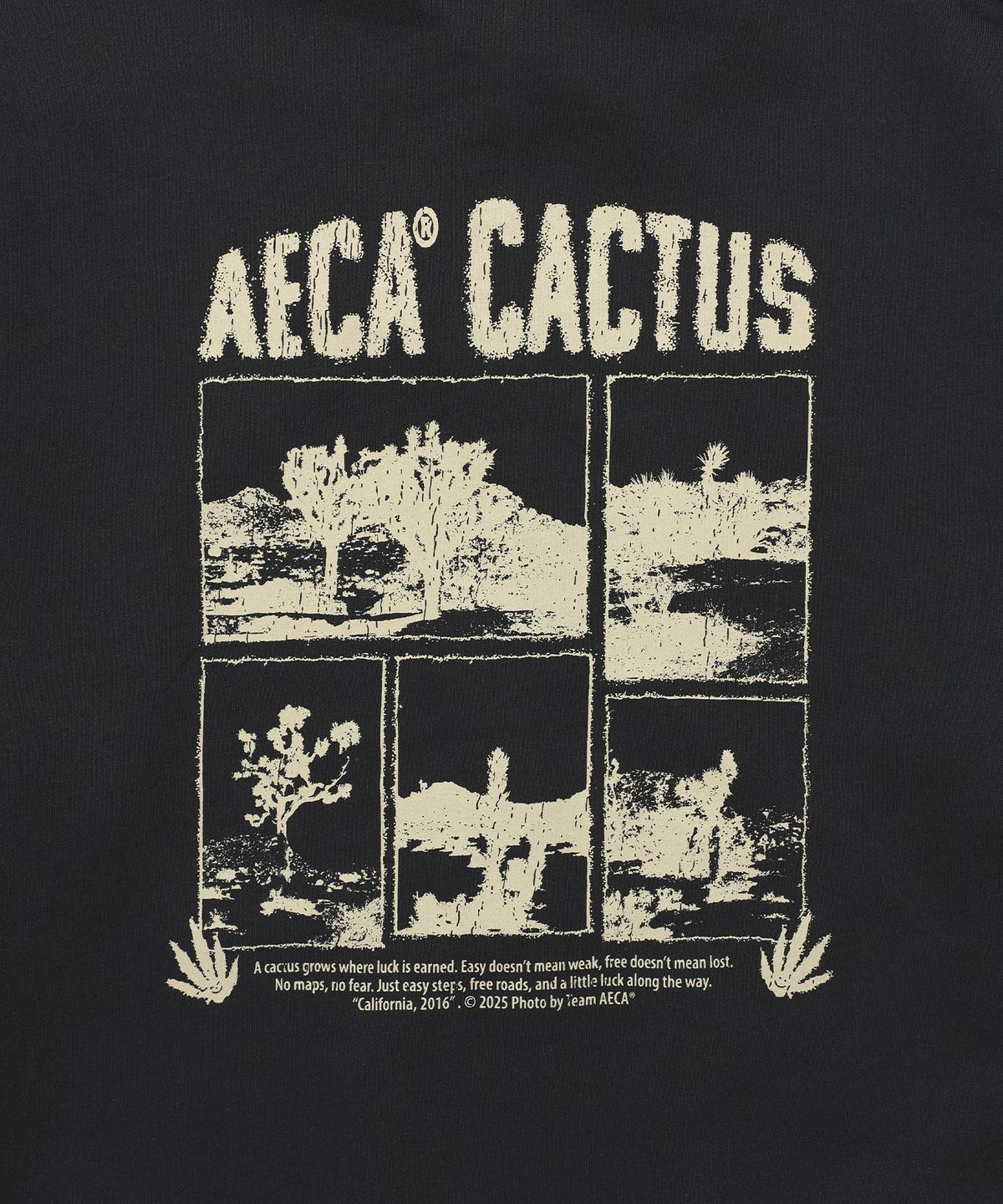 에이카화이트(AECA) AECA CACTUS ZIP-UP HOODIE (2color)