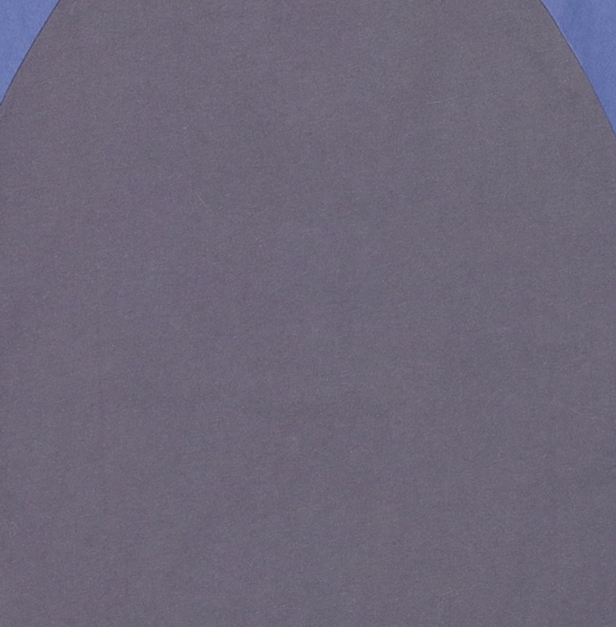 디스이즈네버댓(THISISNEVERTHAT) Raglan Tee Navy/Charcoal S
