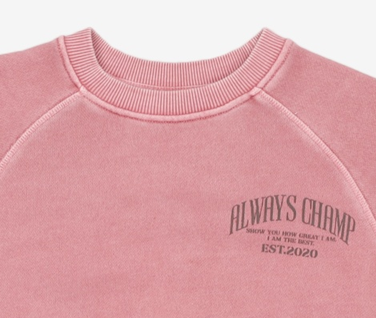 에이치덱스(HDEX) 우먼스 얼웨이즈 피그먼트 스웨트 셔츠 (Pigment Pink) S